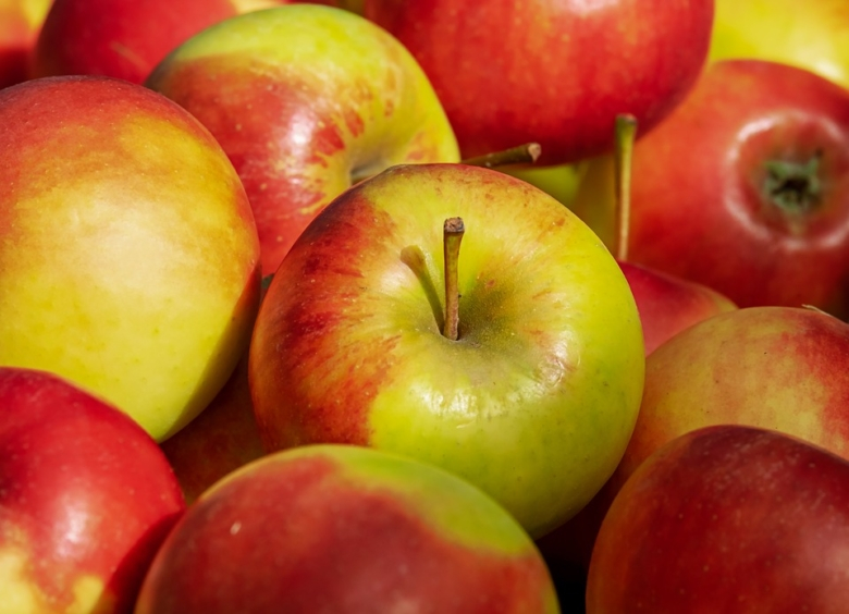Apfel Elstar - Neue Ernte