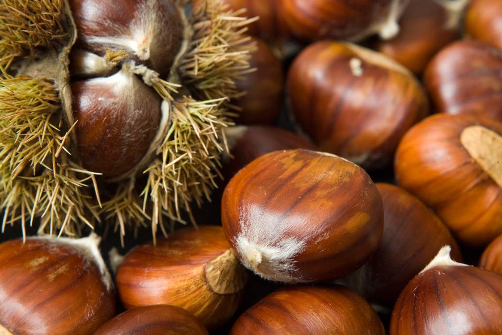 Marroni