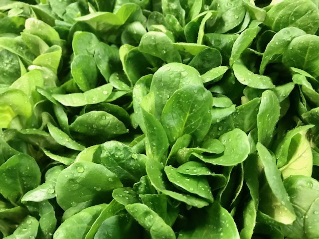 Nüsslisalat