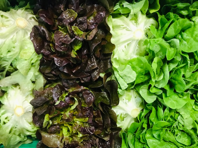 Blattsalate