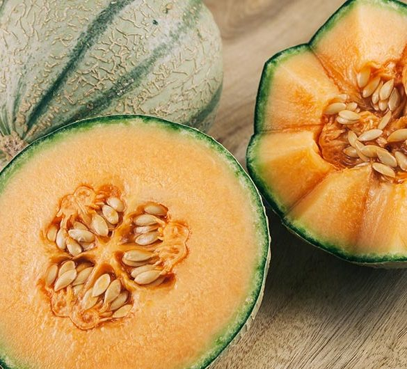 Melonen Festival
