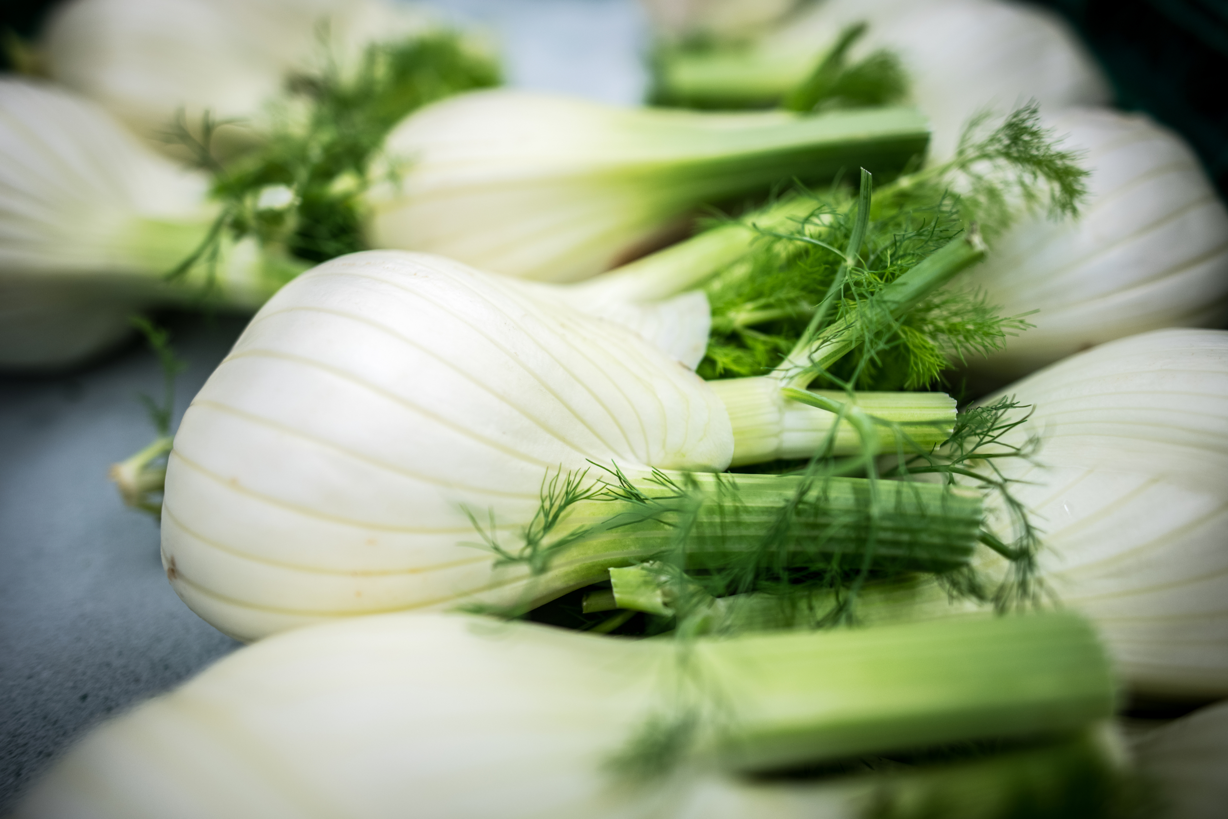 Fenchel & Kabis